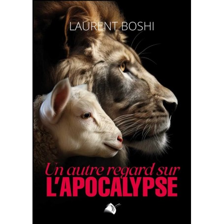 Un autre regard sur l’Apocalypse - Laurent Boshi