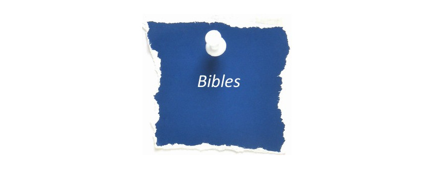 Bibles standard
